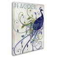 thumbnail image 3 of Trademark Fine Art "Peacock Nouveau I" Canvas Art by Color Bakery, 3 of 3