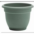 thumbnail image 1 of ARNA GRN 6 Pouces(Lot de 1), 1 of 1