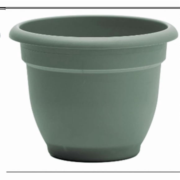 ARNA GRN 6 Pouces(Lot de 1)