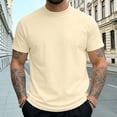 thumbnail image 2 of SGFCWSX Mens Short Sleeve T-Shirts, Solid Color Mock Neck Basic Casual Daily Tee for Men Beige Size L, 2 of 6