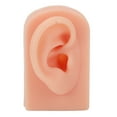 thumbnail image 3 of Fake Ear Model, Soft Silicone Human Ear Model Right Ear Flexible Multi Purpose  For Earrings Display For Acupuncture Practical Training Light Complexion,Dark Complexion,Brown, 3 of 8
