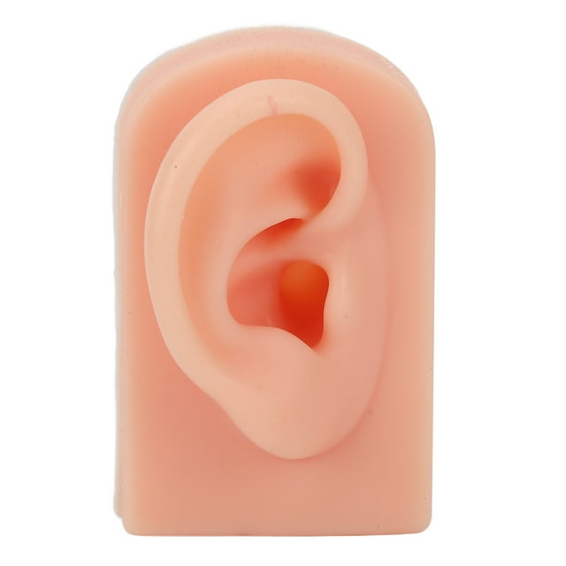 Silicone Human Ear Model, Comfortable Easy To Use Fake Ear Model Right Ear For Acupuncture Practical Training For Headphones Display Light Complexion,Dark Complexion,Brown
