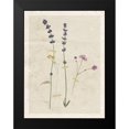 thumbnail image 2 of Robinson, Carol 15x18 Black Modern Framed Museum Art Print Titled - Pressed Lavender, 2 of 5