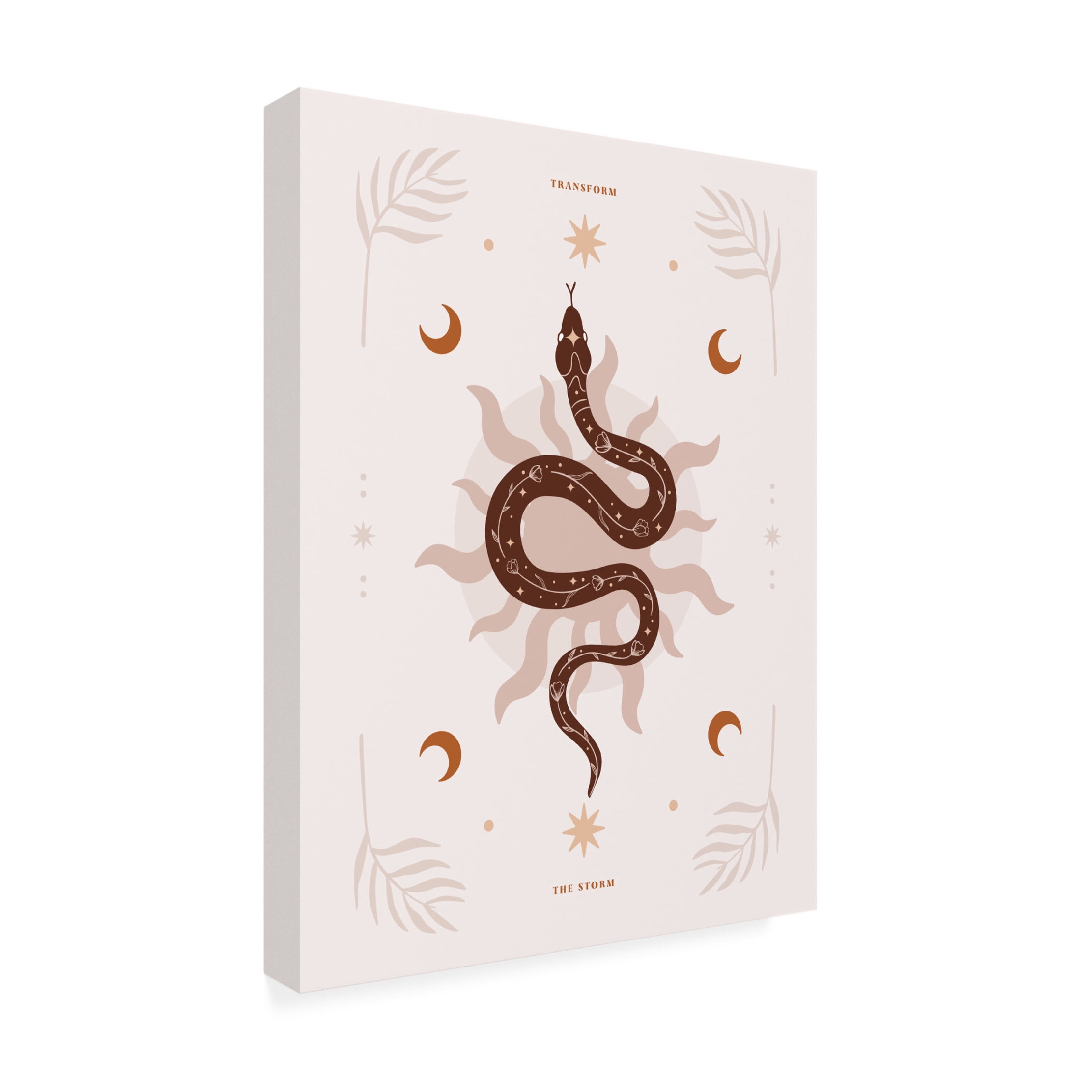 Trademark Fine Art Beth Cai Snake Transform Canvas Wall Art
