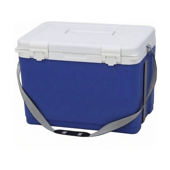 GUOOL 1 Unit 18L Hard-sided Insulated Medical Cooler Box Portable Cold Chain Carrier with Top Handle for Laboratory Specimens