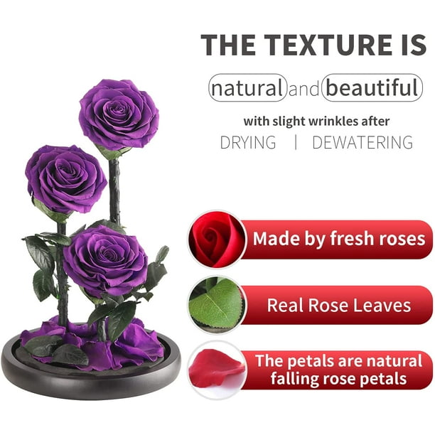 Preserved Real Rose,The Eternal Real Rose in A Glass Dome Will Last  Forever,Unique Gifts for Her/Wife/Mom/Valentine's Day/Mother's