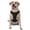 With Accessories, variant on Vsdgher Chemistry Formulas Pattern Dog Harness,No Pull Pet Harness with Soft Padded Handle,Adjustable Reflective Vest with 2 Buckles,4 Slide Buckles,S-XL Small