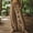 A1/Khaki, variant on Boho Pants for Women Bohemian Embroidered Floral Pants Bubble Crinkle Fabric Summer Cotton Linen High Waist Adjustable Front Drawstring Flowy Wide Leg Lounge Trousers Black M