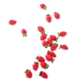 thumbnail image 4 of 10 Piezas Mini Alimentos Porción Frutas 1:12 Escala Miniatura - rojo, () 6 * 4 mm / 0,23 * 0,15 pulgadas Sunnimix Dollhouse Fruit, 4 of 8