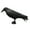 crow, variant on Crow Decoys Black Feathered Crow Standing Simulated Raven Statue Hunting Decoys Outdoor and Garden Decorations