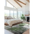 thumbnail image 2 of Sage Green Grey Area Rug for Bedroom 2.7x5 Ft Modern Graffiti Brush Art Abstract Super Soft fuzzy Throw Rug Non-Slip Fluffy Plush Indoor Floor Carpet for Living Room Nursery Home Decor, 2 of 8