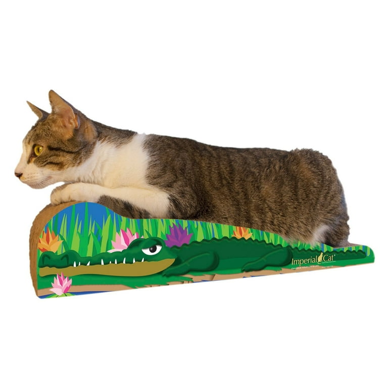 Imperial Cat Scratch 'n Shapes Crocodile - Walmart.com