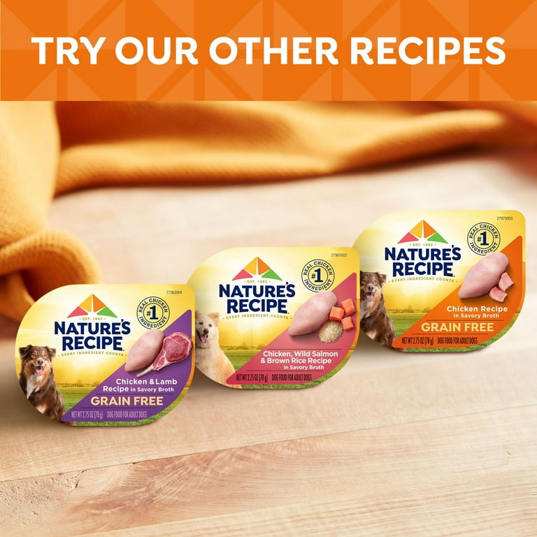 Nature's Recipe Chicken and Wild Salmon Recipe in Broth Wet Dog Food Nature's Recipe Chicken and Wild Salmon Recipe in Broth Wet Dog Food