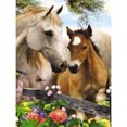thumbnail image 1 of Pintura de diamante 5D DIY Kit de caballo de taladro redondo completo Decoración de arte para el hogar (K370) FLhrweasw Nuevo, 1 of 9