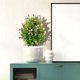 thumbnail image 4 of Flores Artificiales de Camelia con Plantas Verdes - Decoración de Primavera para El Hogar - Arreglo Floral Artificial para Sala de Estar, Comedor, Mesa, Estante, Escritorio de Oficina - Decoración Du, 4 of 7