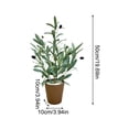 thumbnail image 3 of Artificial Olive Silk Tree in Decorative Pot, Faux Greenery Plant for Modern Home Office Decor, Realistic Small Potted Topiary, Indoor Maintenance-Free Foliage 19.7in, 3 of 6