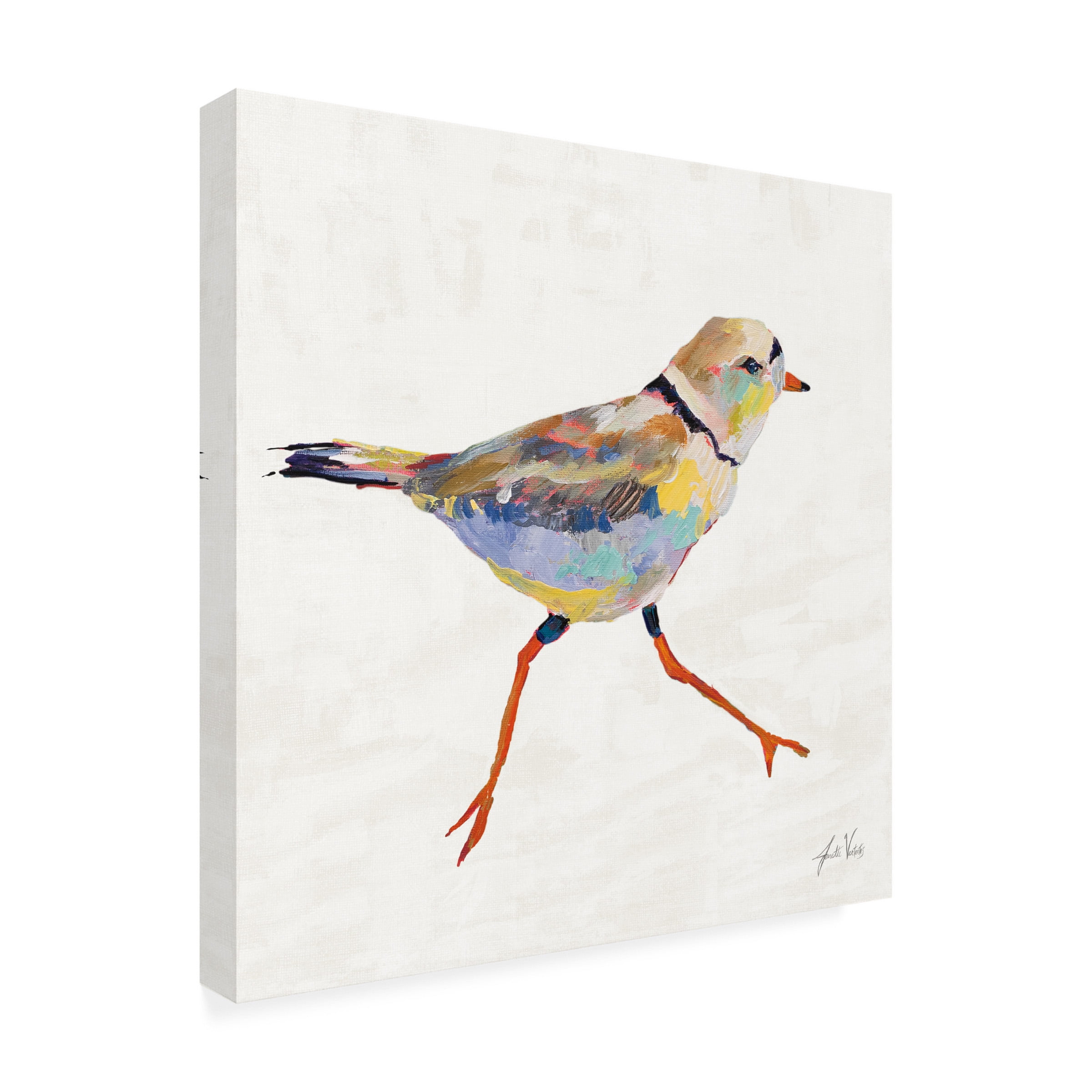 Jeanette Vertentes 'Coastal Plover I Linen' Canvas Art