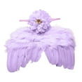 thumbnail image 3 of Outfmvch Shawl Wraps,Fairy Wings Newborn Photography Basket Accessory Wing 06 Costume Props Angel Photo Accessory Party Wings Angel Wings Purple One Size, 3 of 4