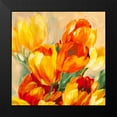 thumbnail image 2 of Stone, Jim 15x15 Black Modern Framed Museum Art Print Titled - Tulips in the Sun I, 2 of 5