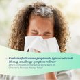 thumbnail image 5 of Children's Allergy Relief Nasal Spray, Fluticasone Propionate, 24 Hour Allergy Medicine for Kids, 11.1 Millilitre, 5 of 10