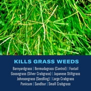 BioAdvanced Bermudagrass Control for Lawns, Ready-to-Spray, 32 oz, 5,000 Sq Ft
