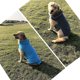 thumbnail image 4 of Abrigo cálido para perro mascota, chaqueta polar, jersey, ropa de invierno, chaleco para cachorro, traje, 4 of 5