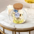 thumbnail image 3 of 2Pcs Spherical Terrarium Container for Gardening and DIY Enthusiasts, 3 of 9