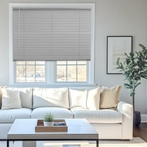 Chicology 45.5"W X 60"H Gloss Gray Cordless Light Filtering 1" Slats Vinyl Mini Window Blinds