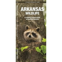 Wildlife and Nature Identification: Arkansas Wildlife : A Folding Pocket Guide to Familiar Animals (Other)