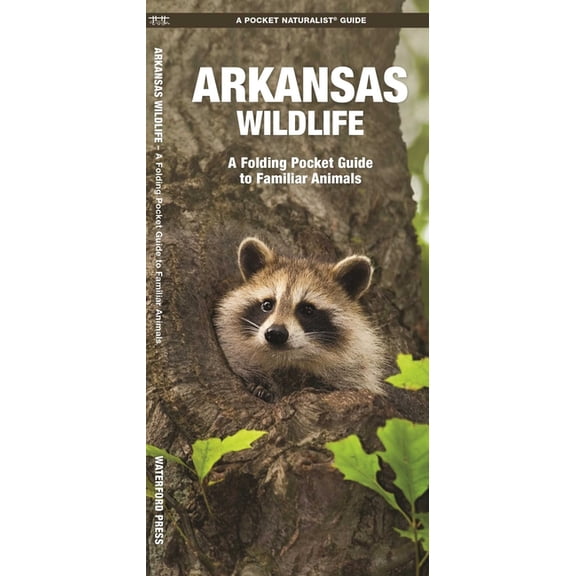 Wildlife and Nature Identification: Arkansas Wildlife : A Folding Pocket Guide to Familiar Animals (Other)