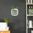 thumbnail image 4 of LOLIPPYY Green Plastic Wall 11.5 Inch - Space Saving Decorative Planter with Easy Hydroponic Care for Indoor Gardening, 4 of 6