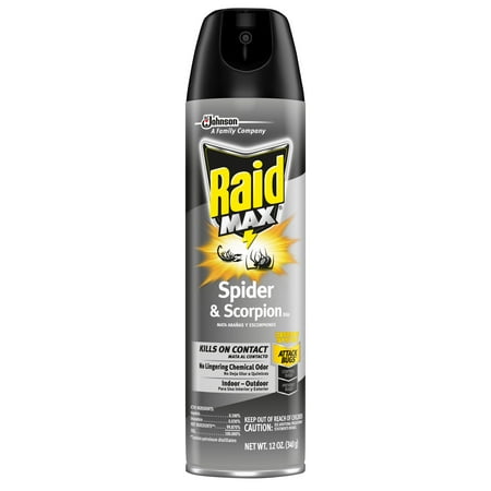Raid Max Spider & Scorpion Killer, 12 oz (Best Spider Spray For Outside)