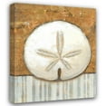 thumbnail image 1 of K. Bates 28x34 Gallery Wrapped Canvas Wall Art Titled - Vintage Shell IV, 1 of 4