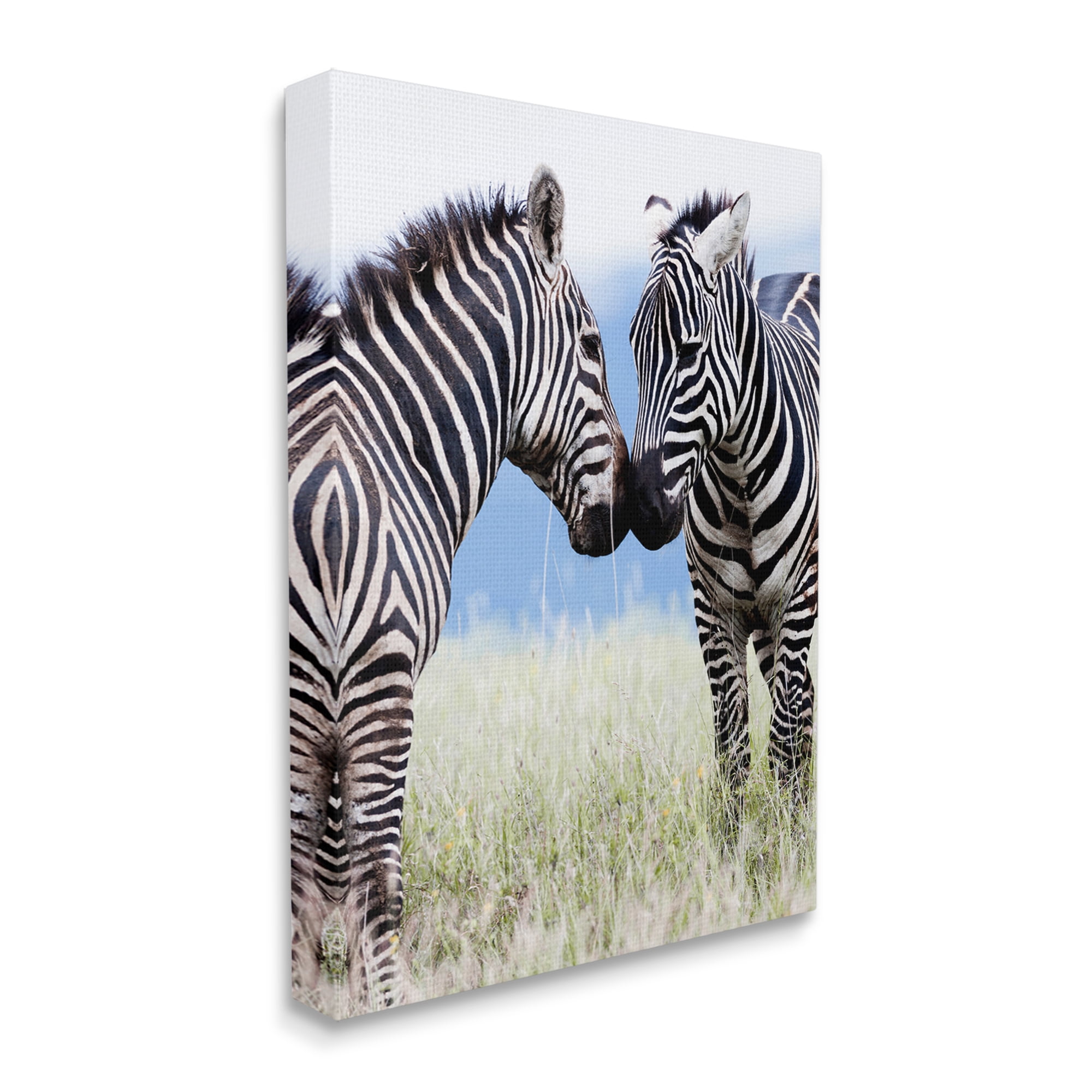 Stupell Industries Heartwarming Zebras Kissing in Field Animal Wildlife Photograph Gallery Wrapped Canvas Print Wall Art, Design by Danita Delimont