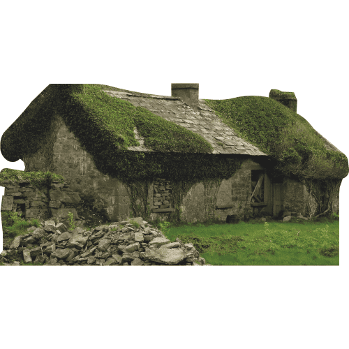 SP13279 Old Abandoned Irish Stone Cottage House Moss Ireland Cardboard Cutout Standee Standup