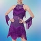 thumbnail image 4 of Vestido de baile con borlas para mujer, ropa de baile para festivales de música, espectáculo de Samba Púrpura M, 4 of 8
