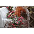 thumbnail image 4 of 5 Pack 41 Ft Fake Rose Vine Flowers Plants Artificial Flower Hanging Rose Ivy Home Hotel Office Wedding Party Garden Craft Art Dcor Pink Pink, 4 of 5