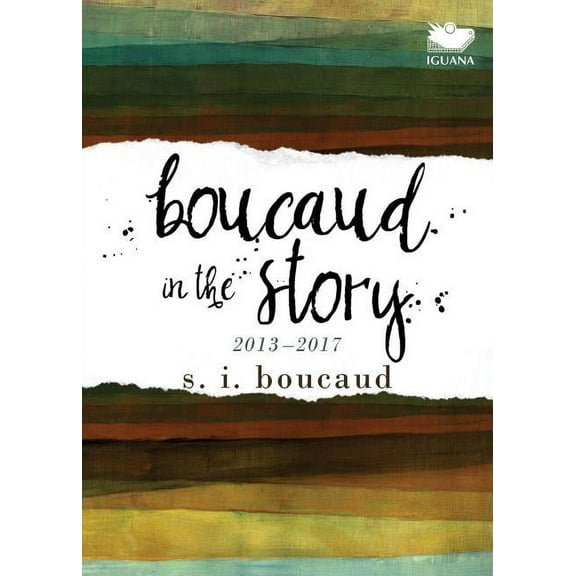 Boucaud in the Story: 2013-2017 (Paperback)