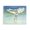 Snowy Egret Beach Landscape, variant on Stupell Industries Coastal Bird over Sunlit Pond Canvas Art, 20 x 16, by D. Rust