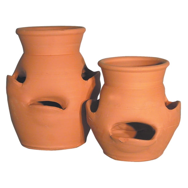 Terra Cotta 6 Pocket Strawberry Jar Planter