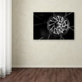 thumbnail image 4 of Trademark Fine Art "Bike Parts" Canvas Art by Jason Shaffer, 4 of 4