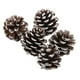 thumbnail image 2 of 9PCS Navidad Conos de Pino Adornos Árbol de Navidad Adorno Colgante Decoración de Bricolaje BLESIY Adornos de piñas, 2 of 5