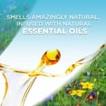 thumbnail image 4 of Recambio de aceite perfumado Air Wick Plug in Hawaii de 5 unidades, 4 of 9