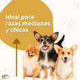 thumbnail image 3 of Casa para Perro Mediano Chico MascoAmigo con Puerta Metálica Térmica 91.5x69x66 cm Gris, 3 of 8