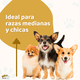 thumbnail image 3 of Casa para Perro Mediano Chico MascoAmigo con Puerta Metálica Térmica 91.5x69x66 cm Gris, 3 of 8