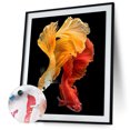 thumbnail image 5 of Cuadros Decorativos Pescado 40x50cm Pintura al óleo por números Imagen DIY Ndcxsfigh Nuevos Originales, 5 of 5