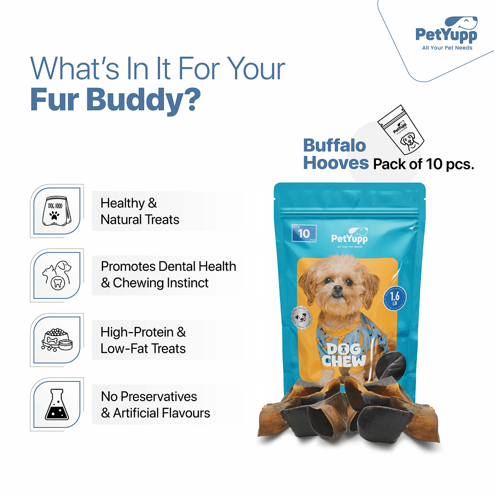 PetYupp Water Buffalo Hooves Dog Chew Treats 10 Count