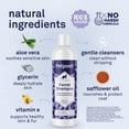 thumbnail image 3 of Petpost Ferret Shampoo - Natural Deodorizing Formula for Ferrets & Small Animals - Safflower Oil Cleanses Without Drying Skin - 8 oz, 3 of 8