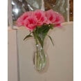 thumbnail image 6 of Gadjit Mini Window Vase Gift Pack - Clear Vinyl Suction Cup Vase Flower Holder for Windows, Mirrors, File Cabinets, Reusable & Unbreakable, 3 Vases, 6 of 9