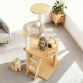 thumbnail image 2 of Vacmaster 41.3" Modern Cat Tower, Wood Cat Tree Tower for Indoor Cats, Cat Treewith Sisal-Covered Scratching Posts and Top Perch, Cat Condo with Acrylic Hammock for Small Large Cats, 2 of 7